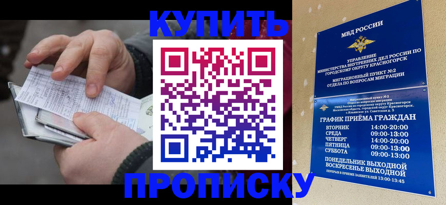 временная регистрация недорого в Невеле
